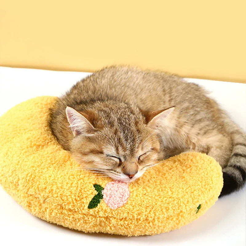 Kattenspeeltjes Action met kleurrijke prints – Stimulerend en leuk