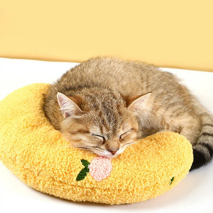Kattenspeeltjes Action met kleurrijke prints – Stimulerend en leuk