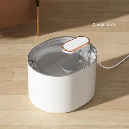 USB-waterfontein kat – Energiebesparend en stil