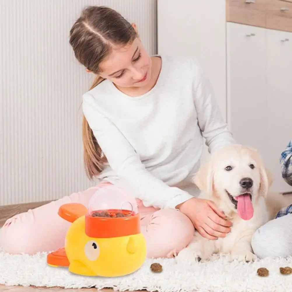 Cadeau voor hond verjaardag compleet – Feest zonder gedoe