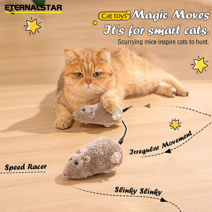 Leuk kattenspeeltje voor jachttraining – Slim en actief
