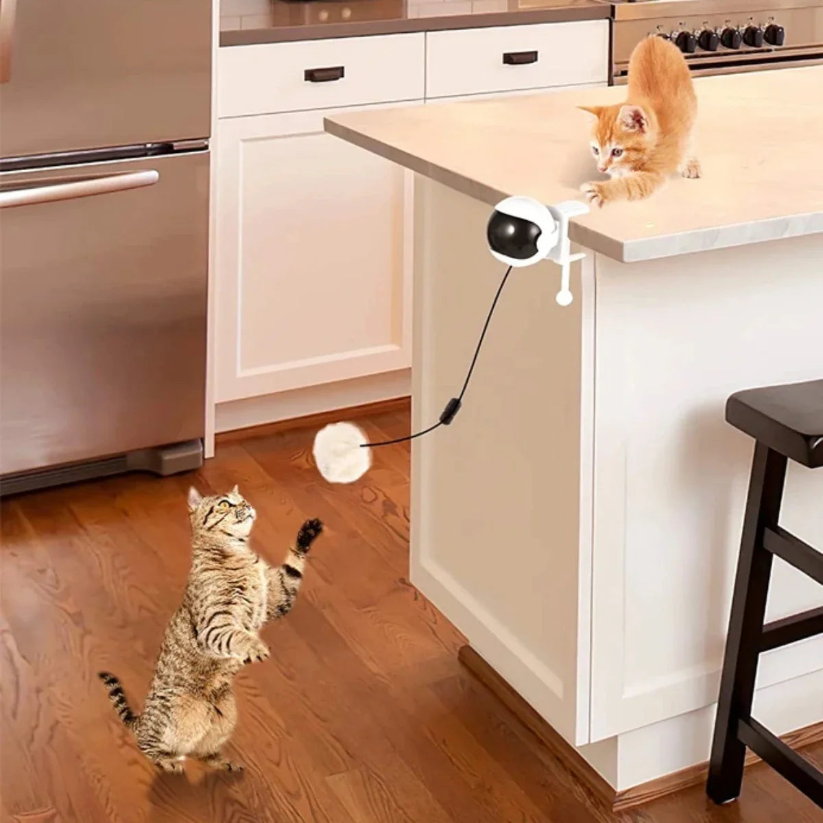 Leuk kattenspeeltje met LED – Visueel aantrekkelijk