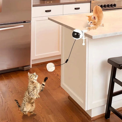 Leuk kattenspeeltje met LED – Visueel aantrekkelijk