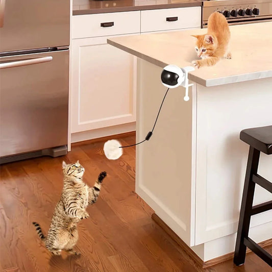 Leuk kattenspeeltje met LED – Visueel aantrekkelijk