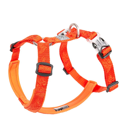 Tuigje met quick-release sluiting – Snel los bij nood