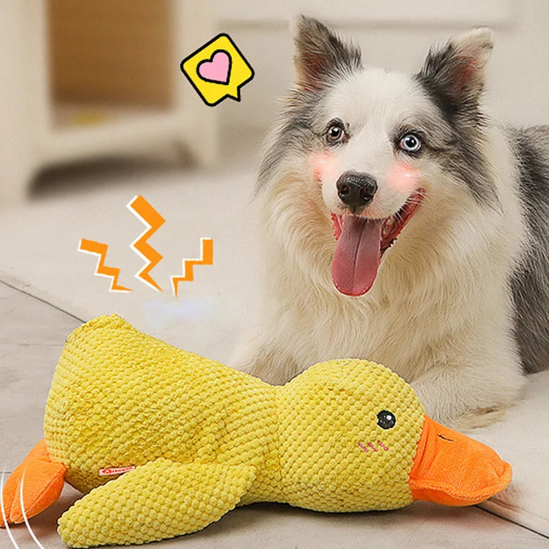 Cadeauset hond verjaardag – Spelen en knabbelen