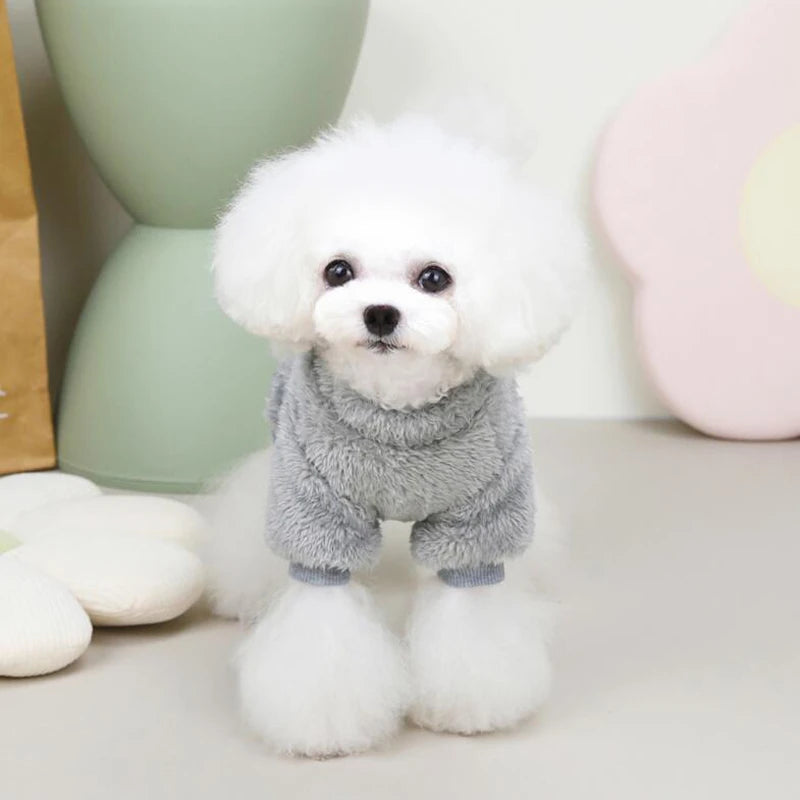 Verjaardag hond met cadeaubox – Compleet feestpakket