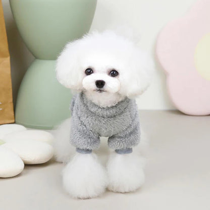 Verjaardag hond met cadeaubox – Compleet feestpakket