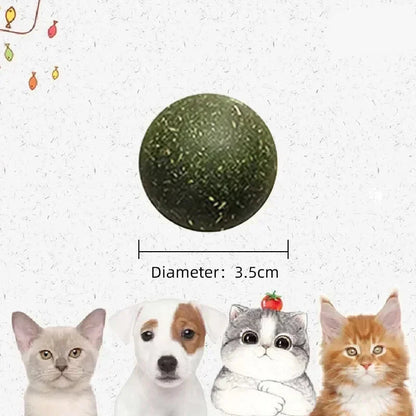 Kattenspeeltjes Action met geluid – Stimuleert zintuigen