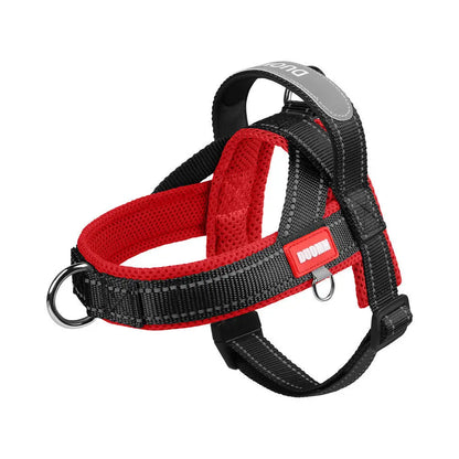 Luxe honden tuigje – Comfort en stijl gecombineerd