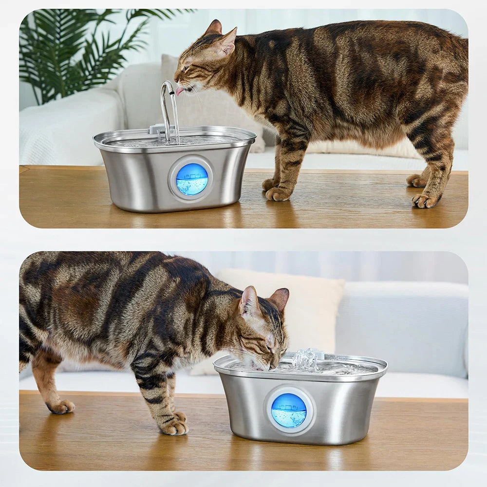 Fontein kat met automatische uitschakeling – Veilig en efficiënt