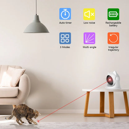 Kattenspeeltjes met bal en spoor – Rollercoaster effect