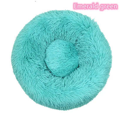 Cadeau hond – Verras je trouwe viervoeter