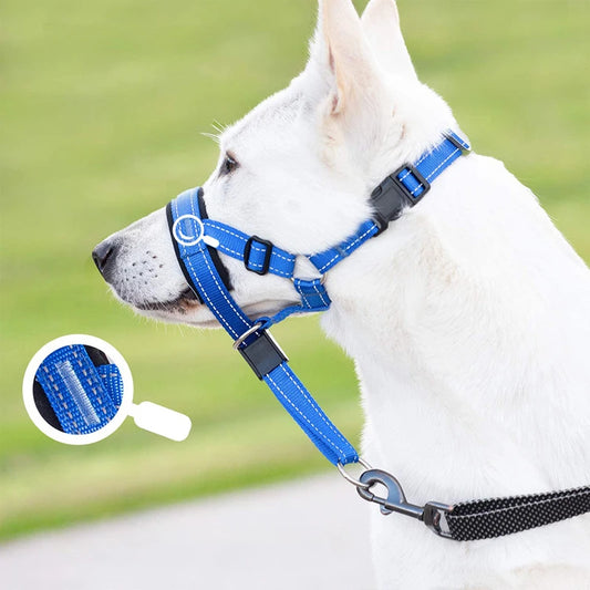 Verstelbaar tuigje voor honden – Past altijd perfect