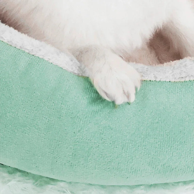 Hondenmand luxe met kussen – Voor extra comfort