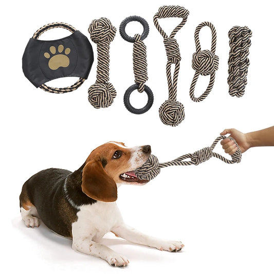 Cadeau voor hond met traktatie – Smullen maar