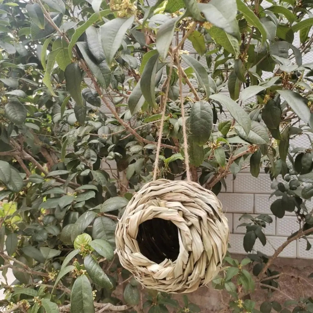 Xenos vogelhuisje met ladder – Extra speels