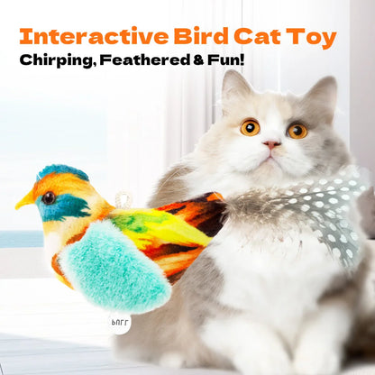 Katten speeltjes met catnip en veer – Dubbel plezier