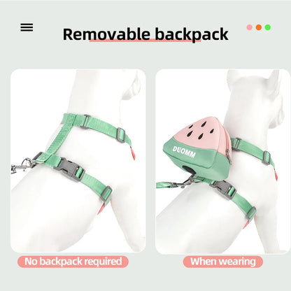 Honden tuigje met padding – Extra comfort voor de hond