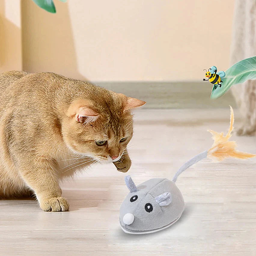 Kattenspeeltjes met bal en spoor – Rollercoaster effect