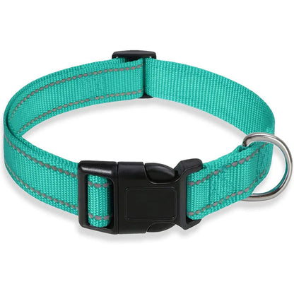Cadeau hond met verjaardagshoed – Klaar voor het feestje