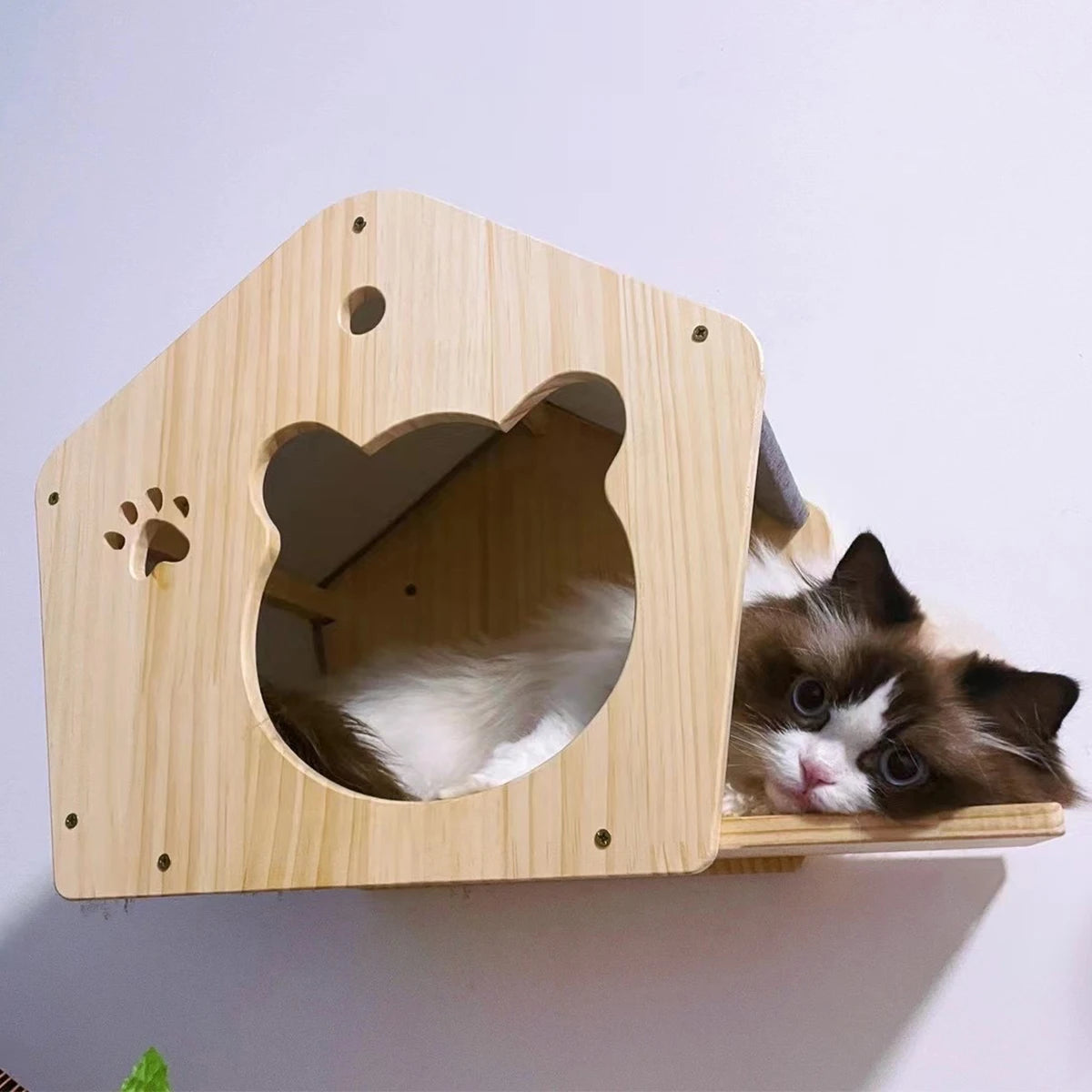 Kattenpaal Maine Coon – Extra groot voor grote katten
