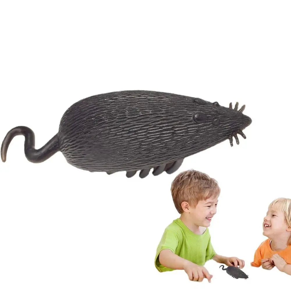 Kattenspeeltjes met bal en spoor – Rollercoaster effect