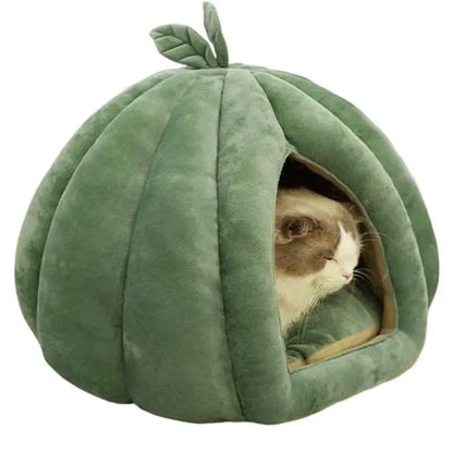 Kattenmand Action met vrolijke print – Leuk en betaalbaar