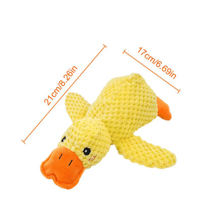 Cadeau voor hond en mens – Duo plezier