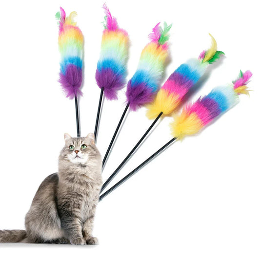 Speelvis met catnip – Onweerstaanbaar