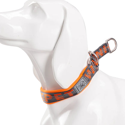Comfort tuigje voor oudere honden – Zacht en ondersteunend