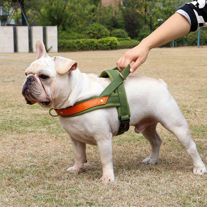 Tuigje voor puppy met kliksluiting – Veilig en zacht