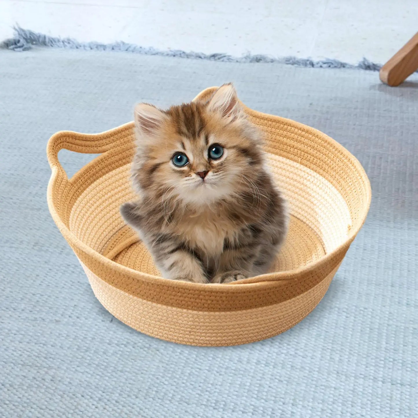 Grote kattenmand voor dikke katten – Meer ligruimte