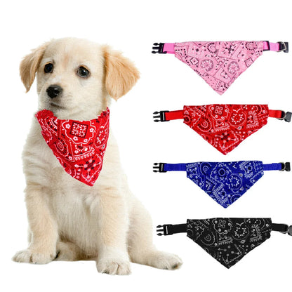 Verjaardagsdoos hond cadeau – Vier het groots