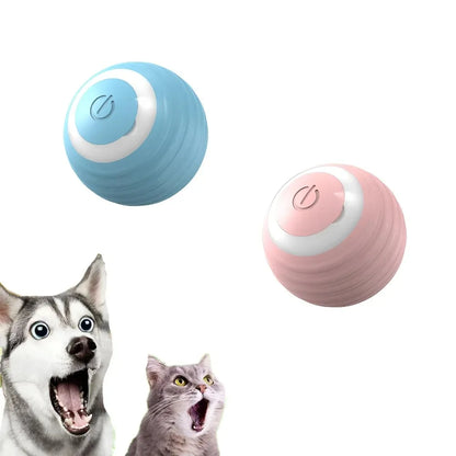 Action kattenspeeltjes in vrolijke kleuren – Budgetvriendelijk plezier