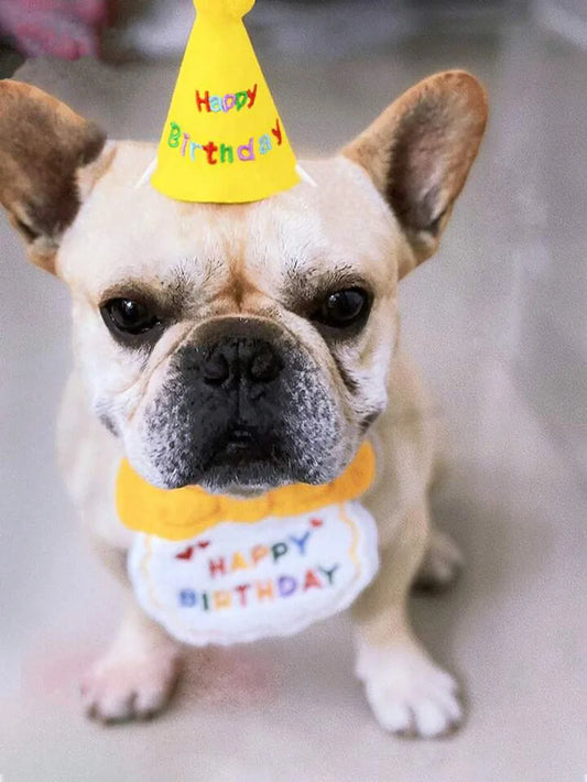 Verstelbaar tuigje voor honden – Past altijd perfect