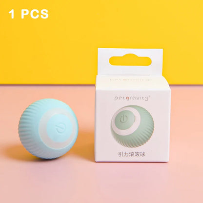 Kattenspeeltje voor interactief spel – Perfect voor samen spelen