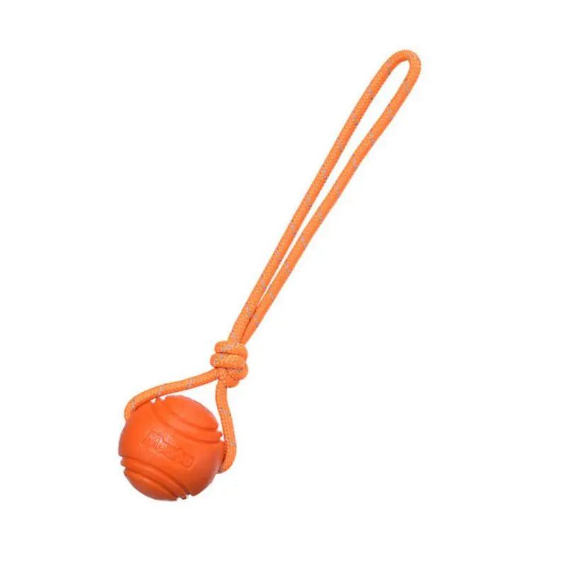 Cadeautip hond – Iets leuks voor elke pup