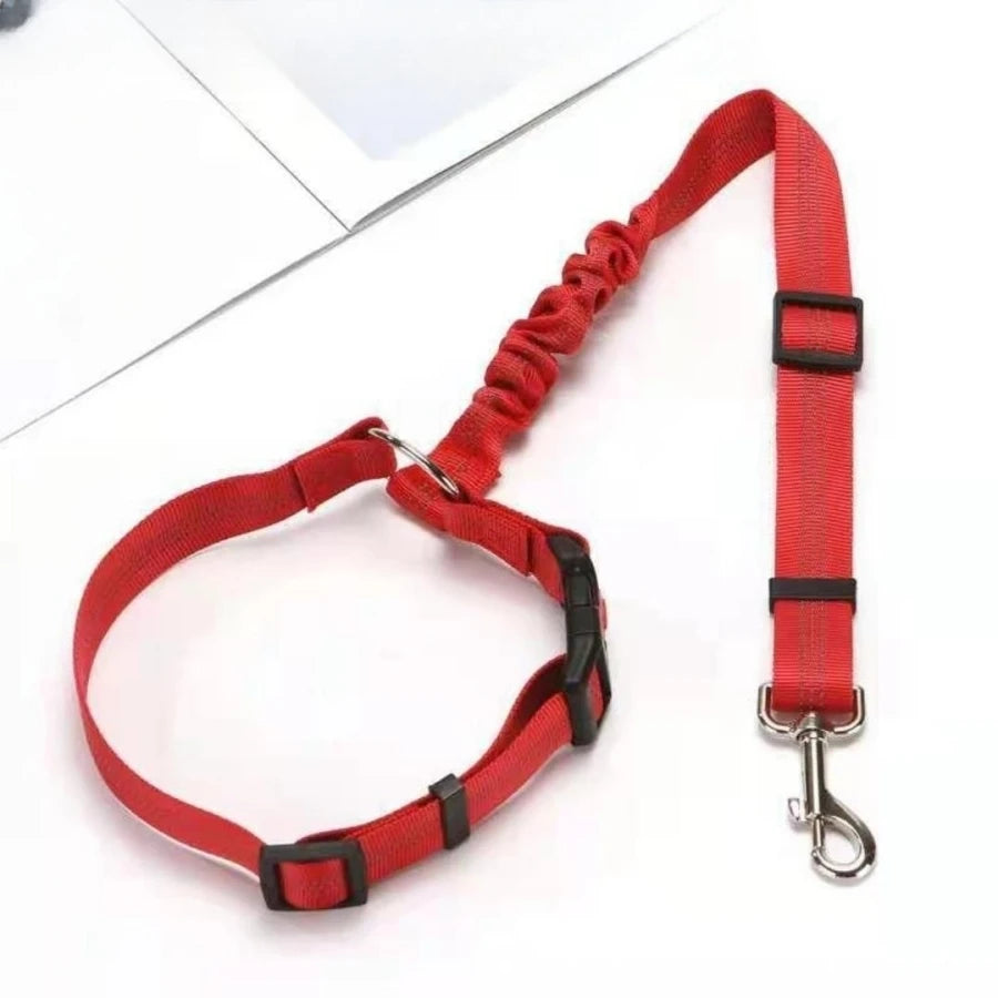 Comfort tuigje voor oudere honden – Zacht en ondersteunend