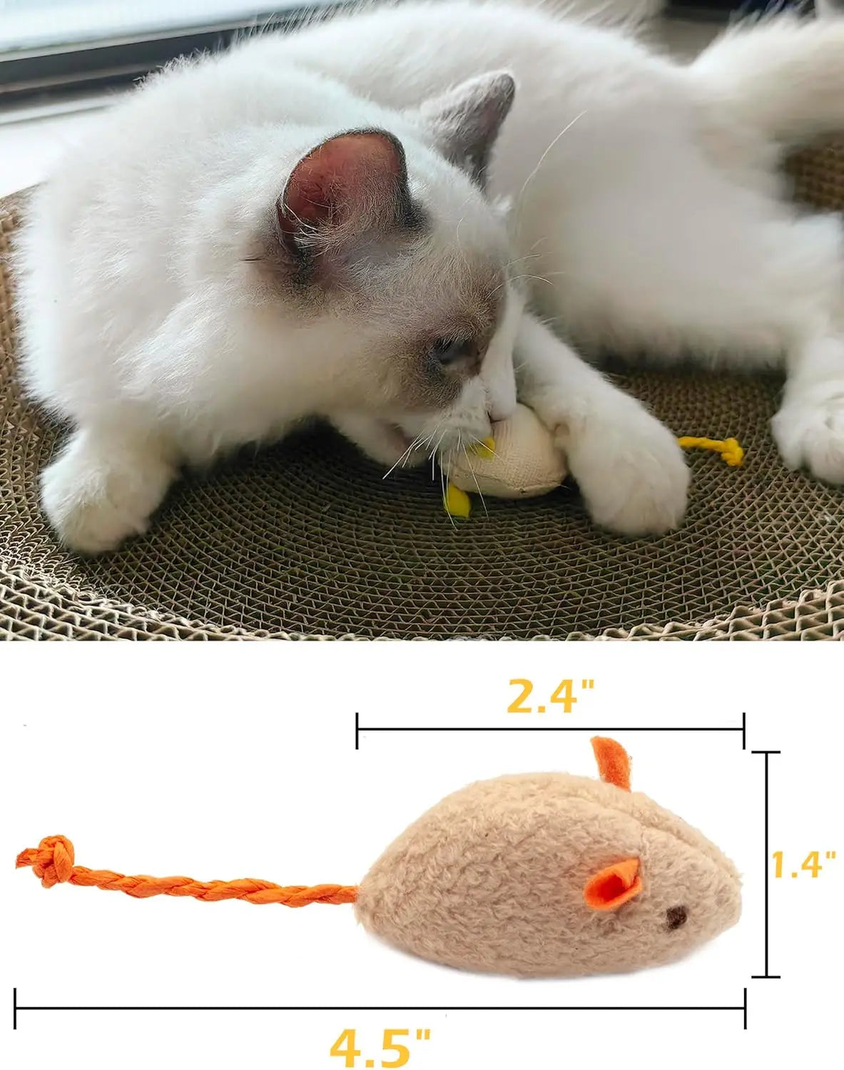 Leukste kattenspeeltje voor de feestdagen – Verrassend leuk