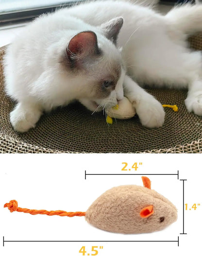 Leukste kattenspeeltje voor de feestdagen – Verrassend leuk