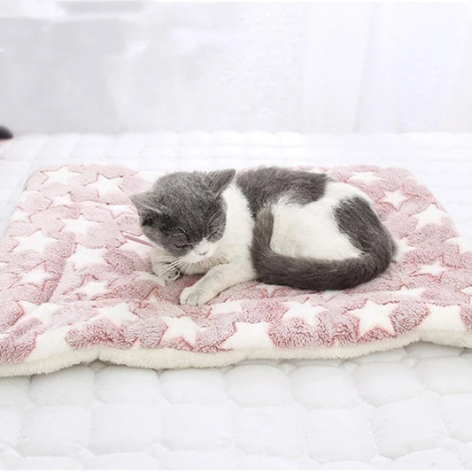 Grote kattenmand geschikt voor meerdere katten – Delen met maatjes