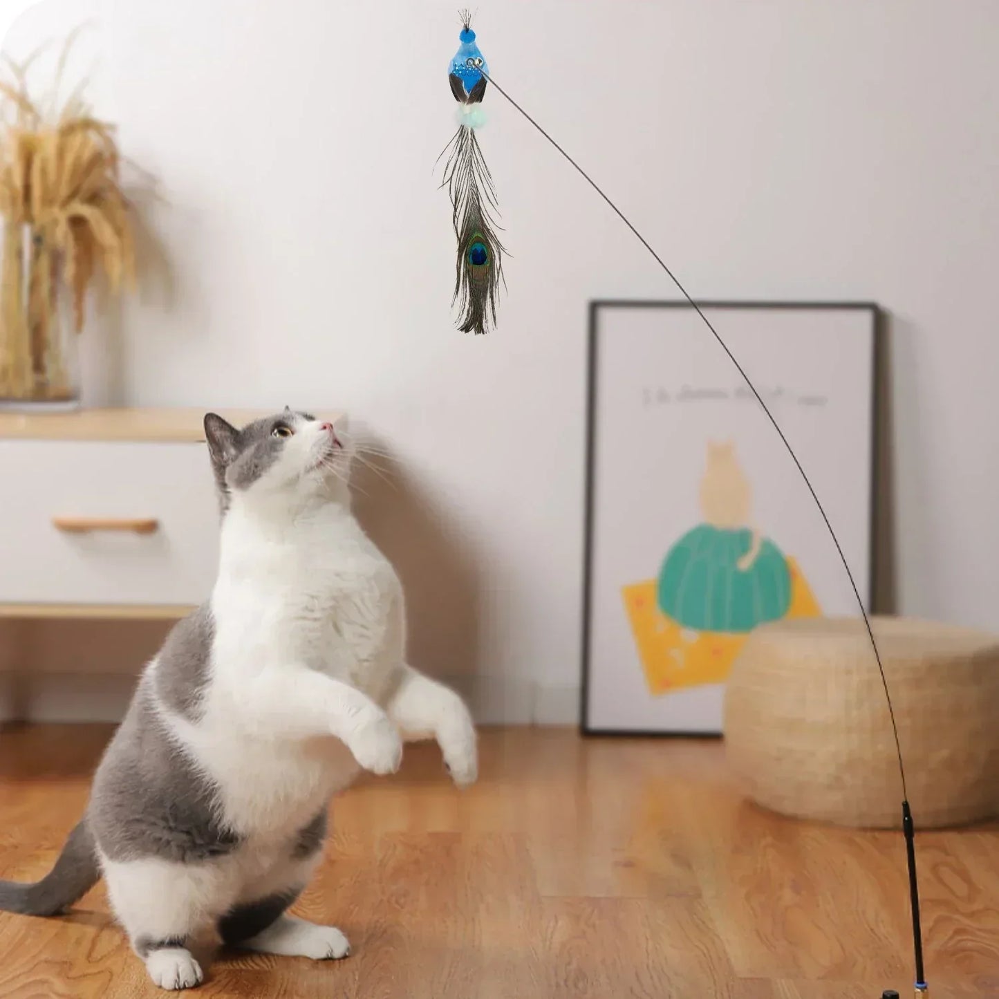 Kattenspeeltjes Action met touw en bal – Meer uitdaging