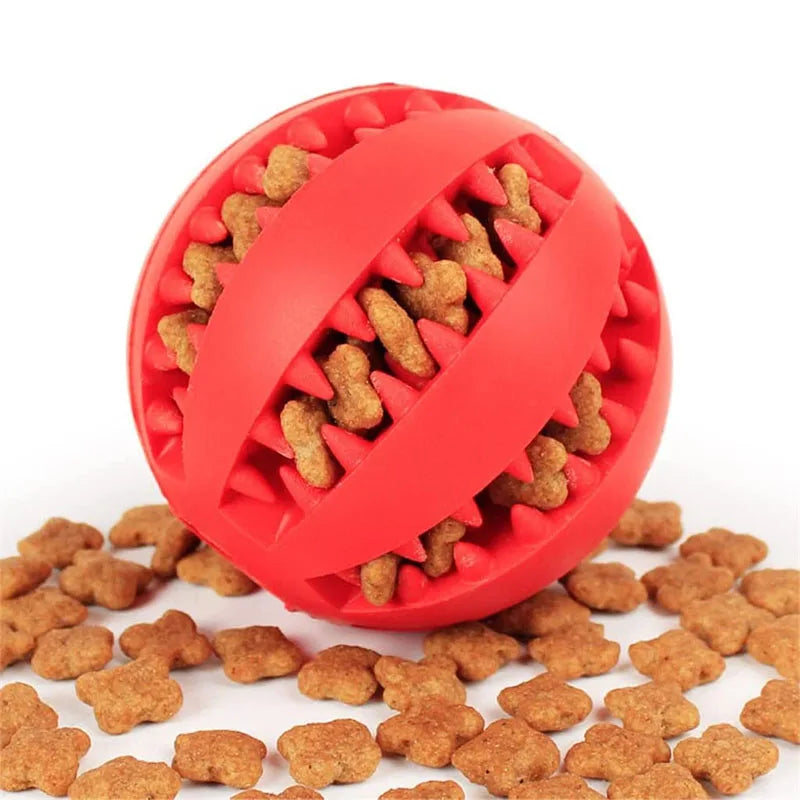Cadeau voor hond verjaardag compleet – Feest zonder gedoe