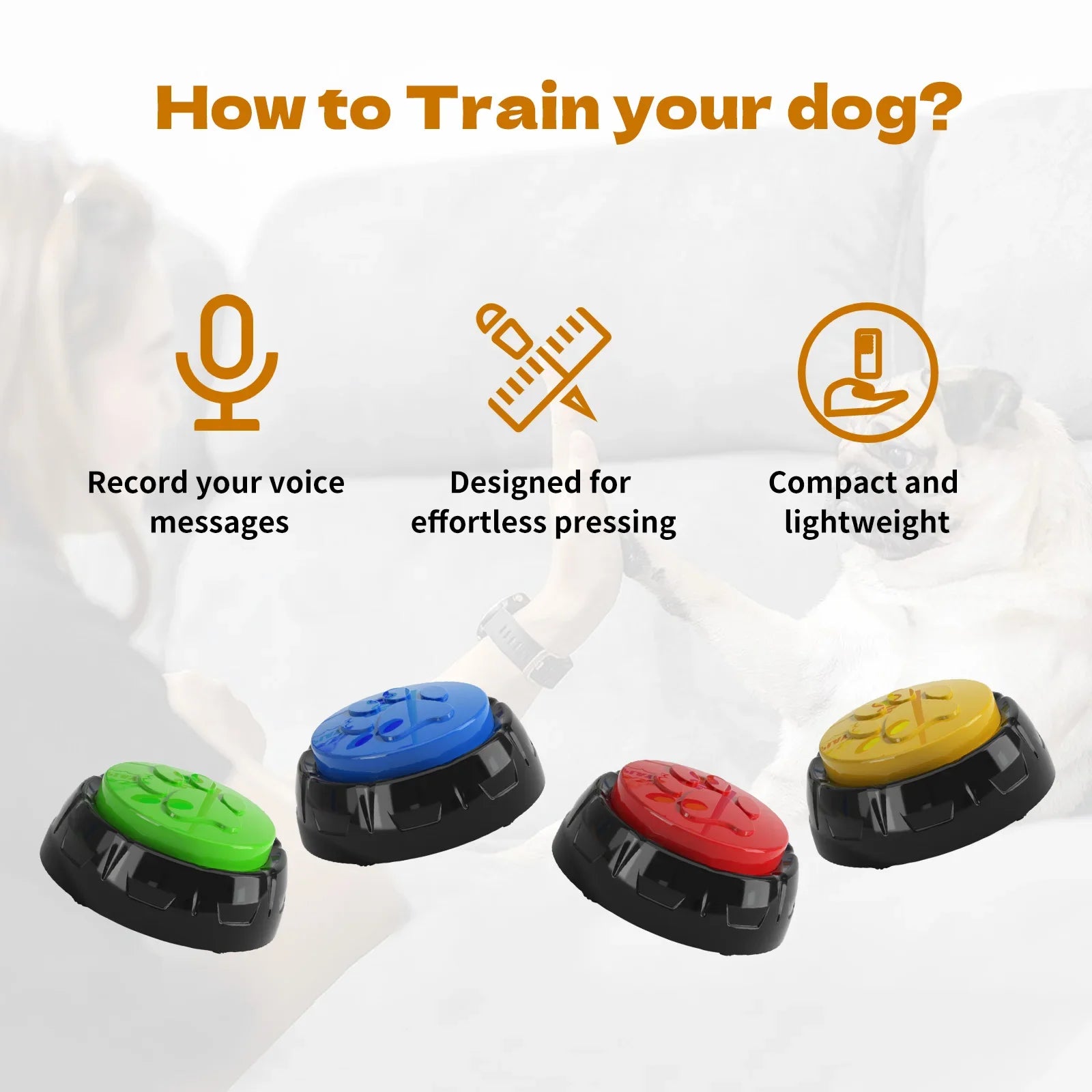 Verjaardag hond met cadeaubox – Compleet feestpakket