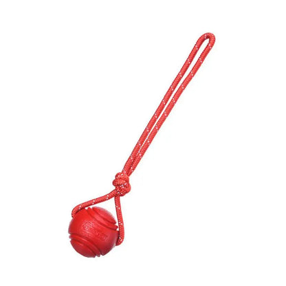 Cadeau voor hond met lekkers – Smullen gegarandeerd