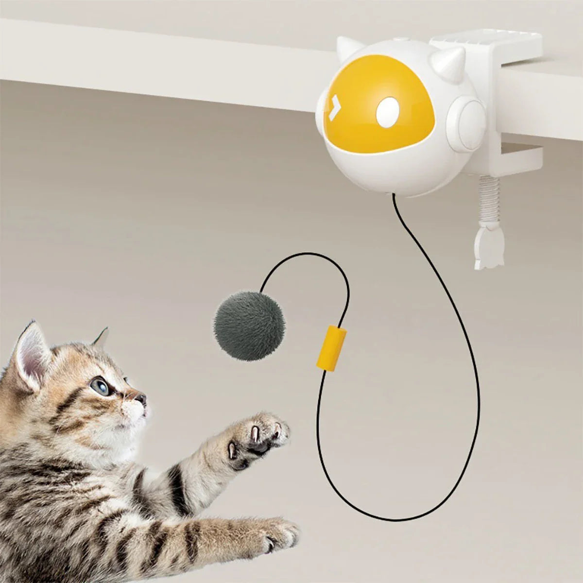 Kattenspeeltjes met elastiek – Bewegend plezier