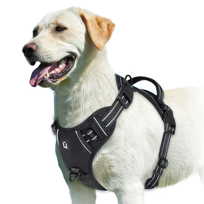 Tuigje met extra brede banden – Voor krachtige honden