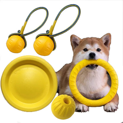 Snackbox voor honden verjaardag – Lekker en speciaal