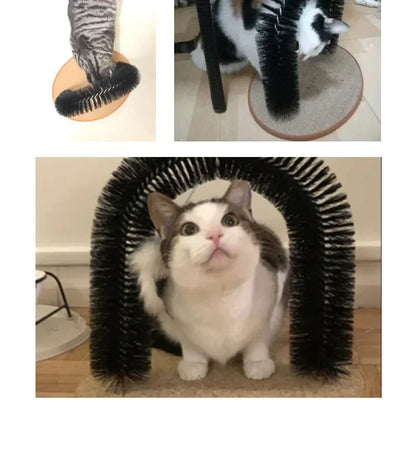 Kattenspeeltje met verenstaart – Voor eindeloos jagen